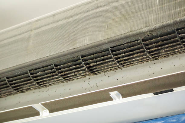 Best Affordable Duct Cleaning Services  in Social Circle, GA